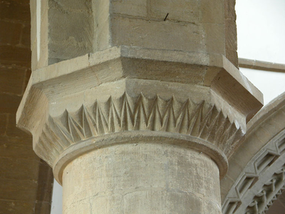 scallop capital with sheathed cones