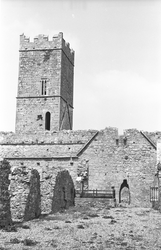 Clare Abbey, Clarecastle, Clare